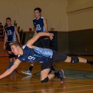 Meet your Posher, Braidey